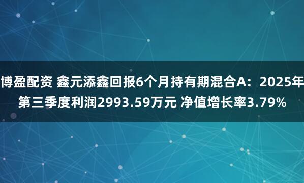 博盈配资 鑫元添鑫回报6个月持有期混合A:2025年第三季度利润2993.59万元 净值增长率3.79%