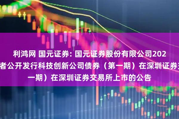 利鸿网 国元证券: 国元证券股份有限公司2025年面向专业投资者公开发行科技创新公司债券(第一期)在深圳证券交易所上市的公告