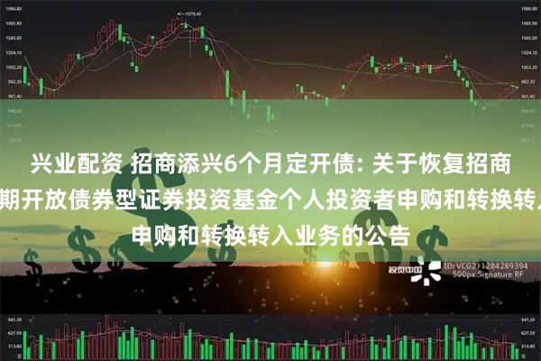 兴业配资 招商添兴6个月定开债: 关于恢复招商添兴6个月定期开放债券型证券投资基金个人投资者申购和转换转入业务的公告