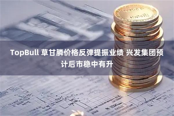 TopBull 草甘膦价格反弹提振业绩 兴发集团预计后市稳中有升